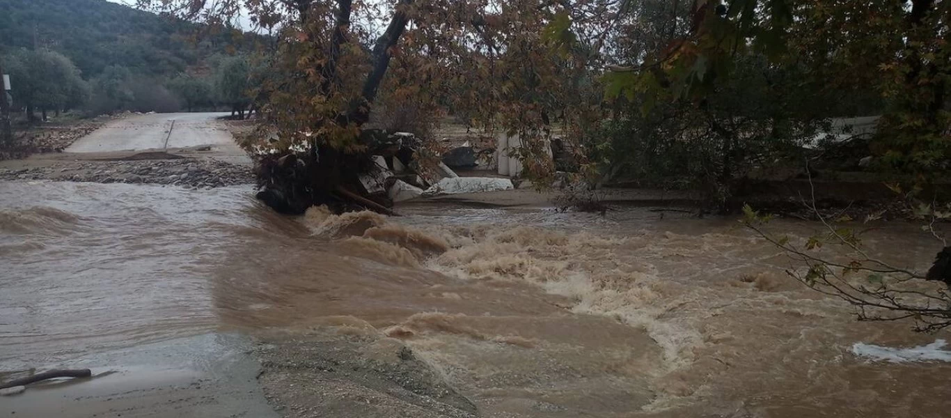 Μια νεκρή στην Εύβοια από το χτύπημα της «Θάλειας» - Δρόμοι και σπίτια έχουν πλημμυρίσει (φωτό, βίντεο) (upd)